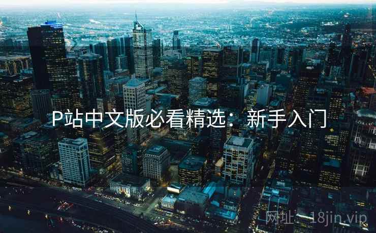 P站中文版必看精选：新手入门