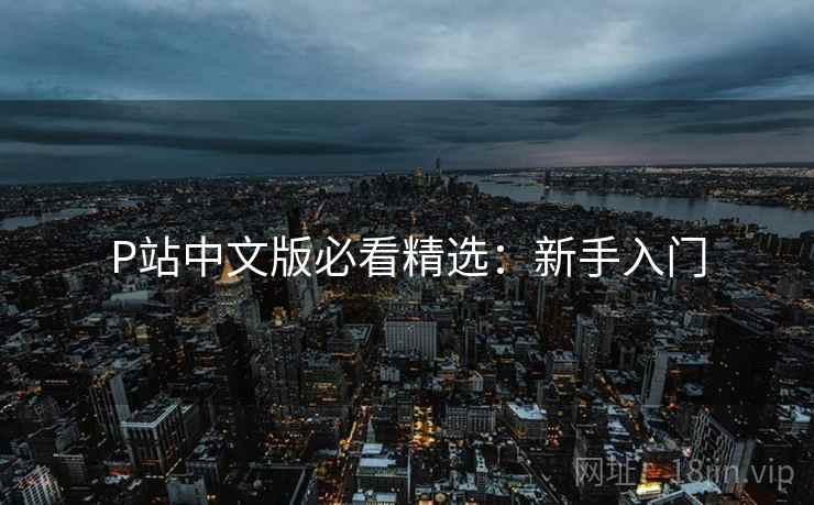 P站中文版必看精选：新手入门