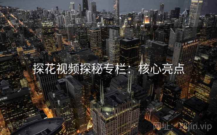 探花视频探秘专栏：核心亮点