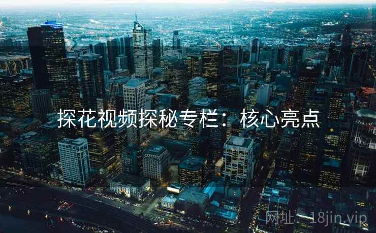 探花视频探秘专栏：核心亮点