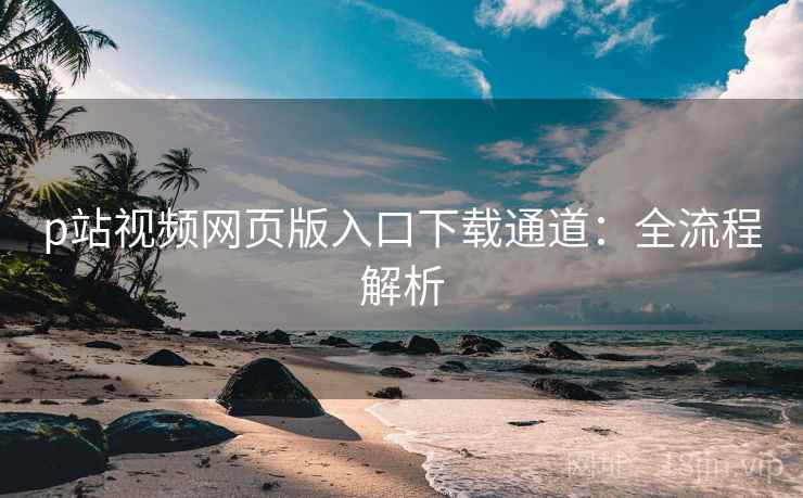 p站视频网页版入口下载通道：全流程解析