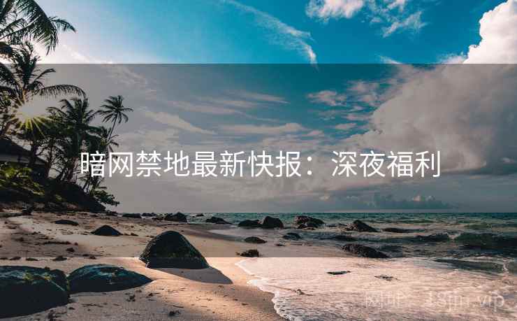 暗网禁地最新快报：深夜福利