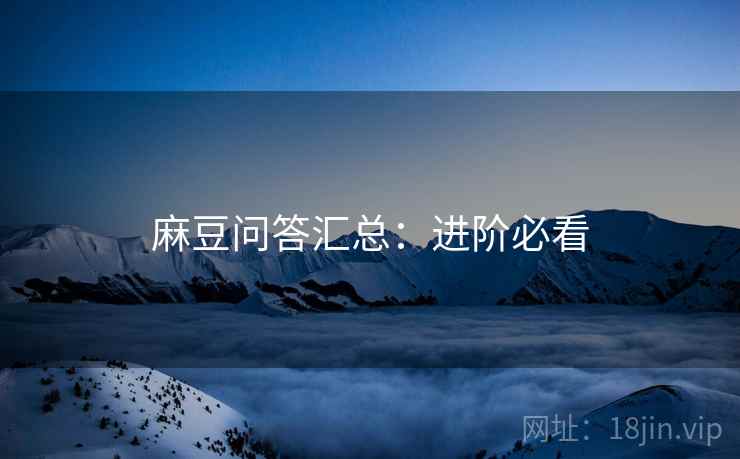 麻豆问答汇总：进阶必看