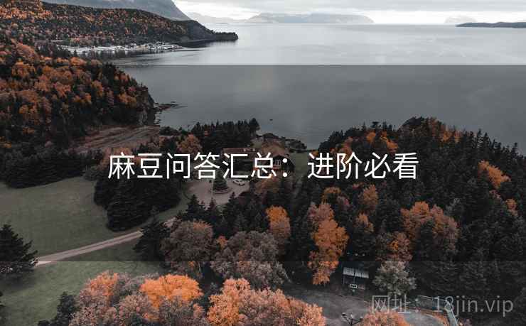 麻豆问答汇总：进阶必看