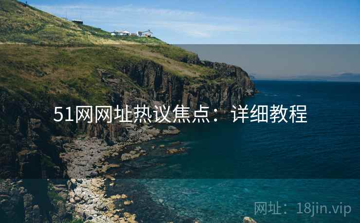 51网网址热议焦点：详细教程