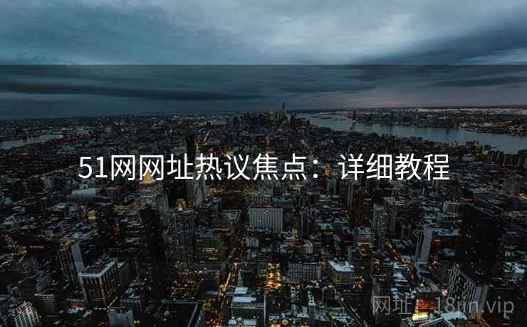 51网网址热议焦点：详细教程