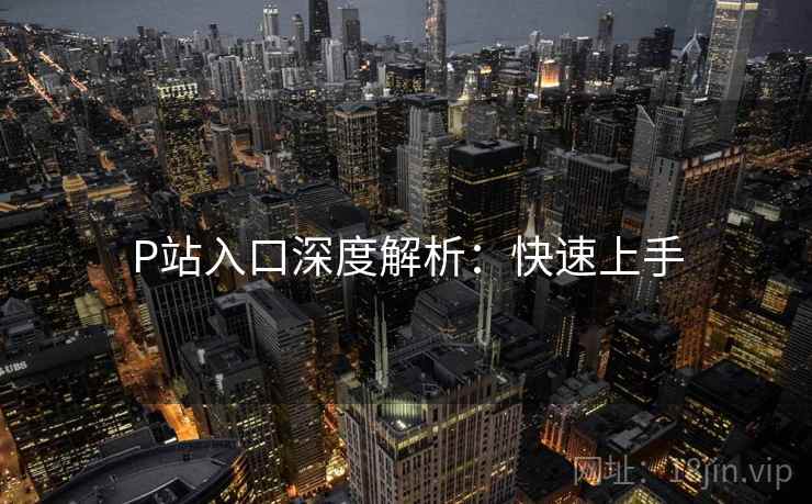 P站入口深度解析：快速上手