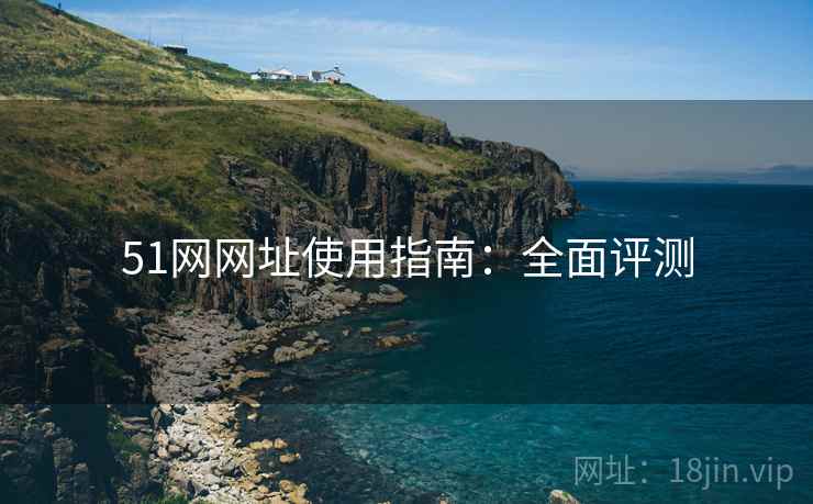 51网网址使用指南：全面评测