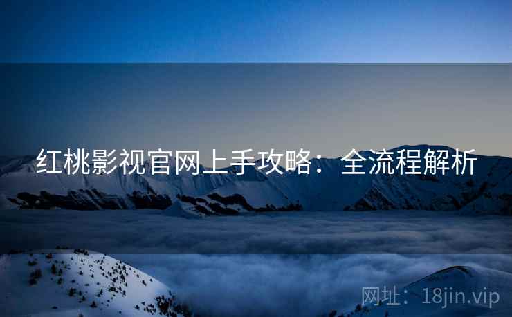 红桃影视官网上手攻略：全流程解析
