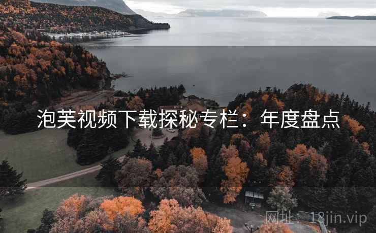 泡芙视频下载探秘专栏：年度盘点