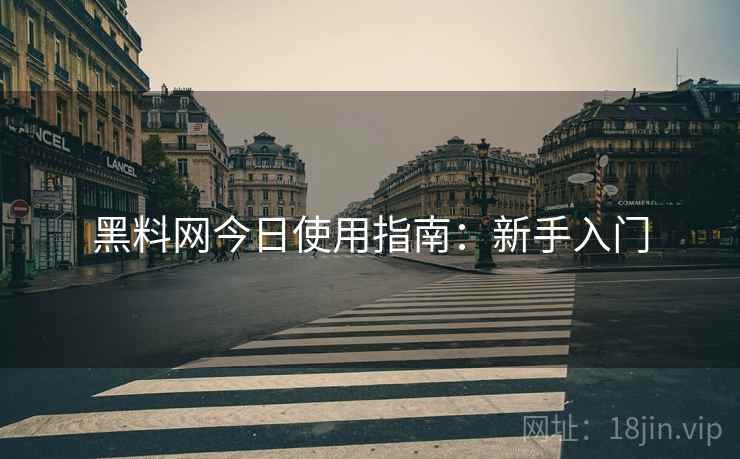 黑料网今日使用指南：新手入门