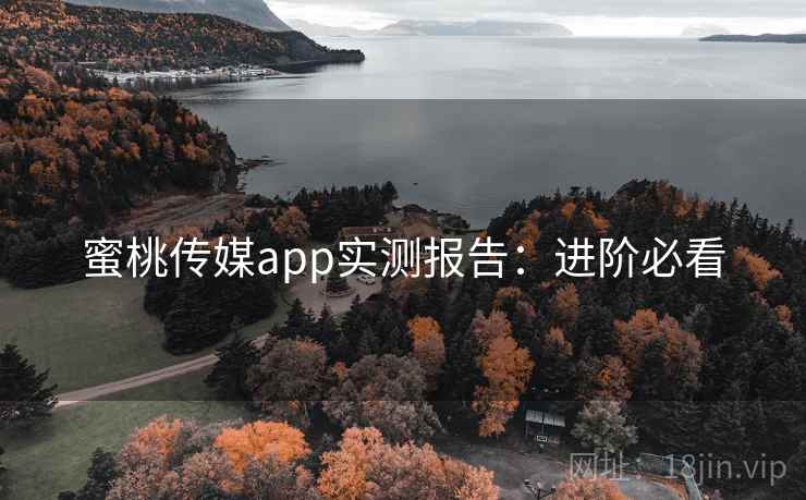 蜜桃传媒app实测报告：进阶必看