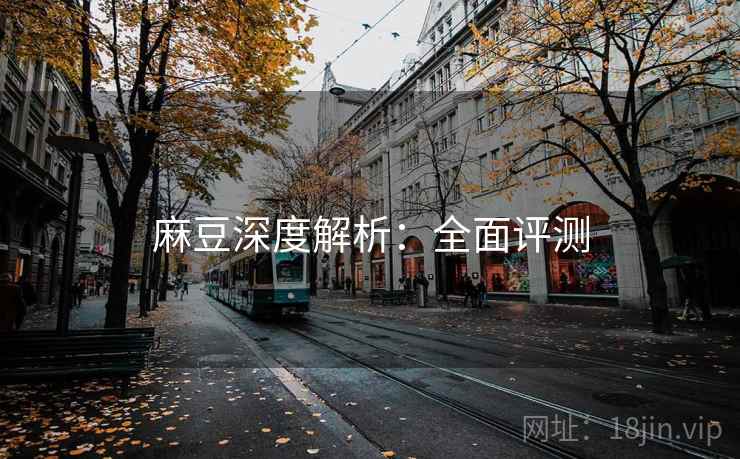 麻豆深度解析：全面评测